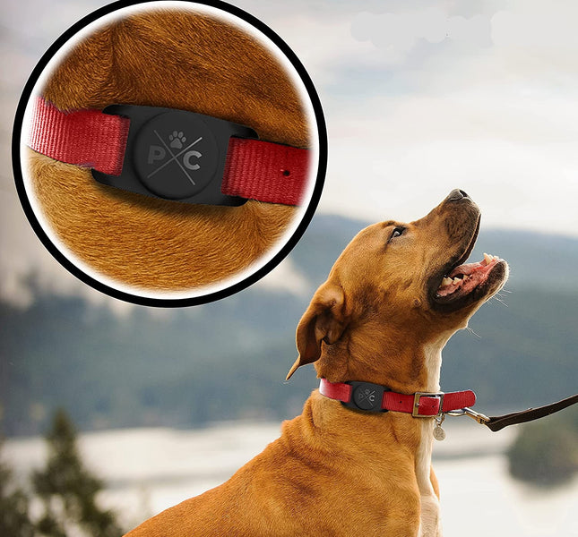 Airtag Dog Collar Holder-FluffyFare